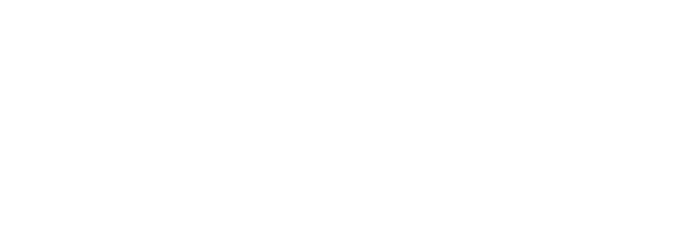 Logo Demo